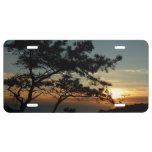 Torrey Pine Sunset I California Landscape License Plate