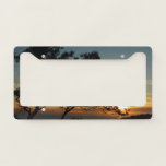 Torrey Pine Sunset I California Landscape License Plate Frame