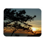 Torrey Pine Sunset I California Landscape Magnet