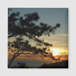 Torrey Pine Sunset I California Landscape Magnet