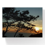 Torrey Pine Sunset I California Landscape Paperweight