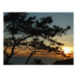 Torrey Pine Sunset I California Landscape Photo Print