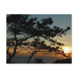 Torrey Pine Sunset I California Landscape Postcard