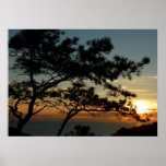 Torrey Pine Sunset I California Landscape Poster