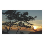 Torrey Pine Sunset I California Landscape Rectangular Sticker
