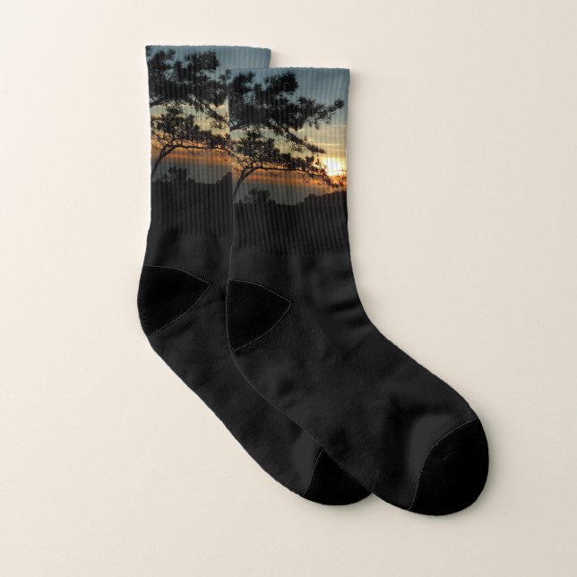 Torrey Pine Sunset I California Landscape Socks (Pair)