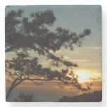 Torrey Pine Sunset I California Landscape Stone Coaster