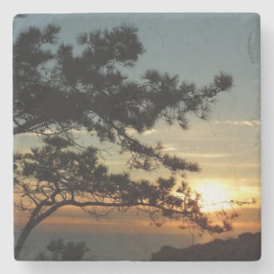Torrey Pine Sunset I California Landscape Stone Coaster