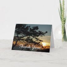 Torrey Pine Sunset I California Landscape