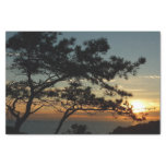 Torrey Pine Sunset I California Landscape Tissue Paper