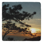 Torrey Pine Sunset I California Landscape Trivet