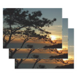Torrey Pine Sunset I California Landscape Wrapping Paper Sheets
