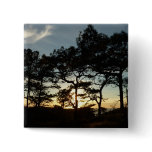 Torrey Pine Sunset II California Landscape Button