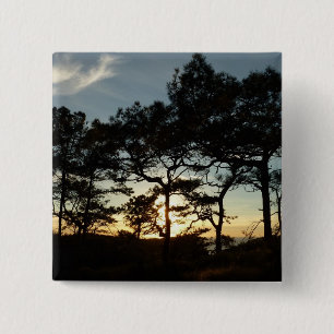 Torrey Pine Sunset II California Landscape Button
