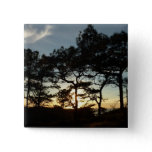 Torrey Pine Sunset II California Landscape Button