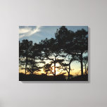 Torrey Pine Sunset II California Landscape Canvas Print