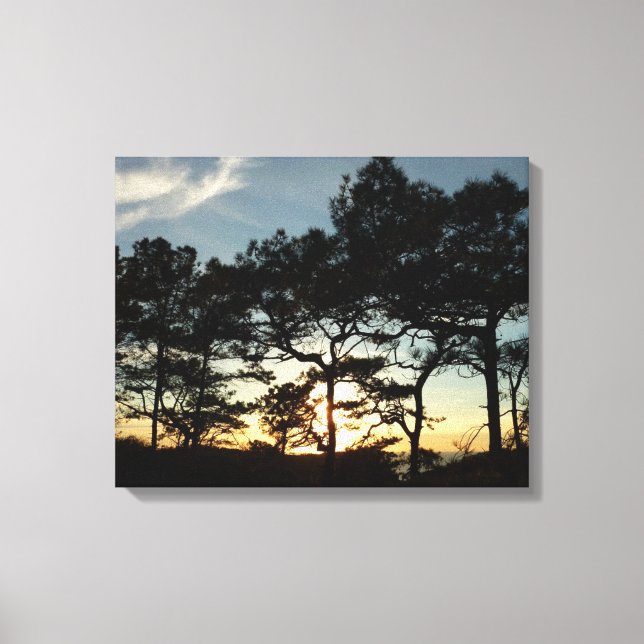 Torrey Pine Sunset II California Landscape Canvas Print (Front)
