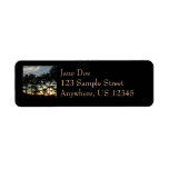 Torrey Pine Sunset II California Landscape Label