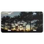 Torrey Pine Sunset II California Landscape License Plate