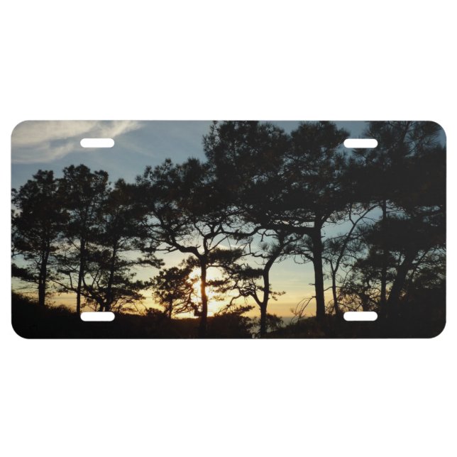 Torrey Pine Sunset II California Landscape License Plate (Front)