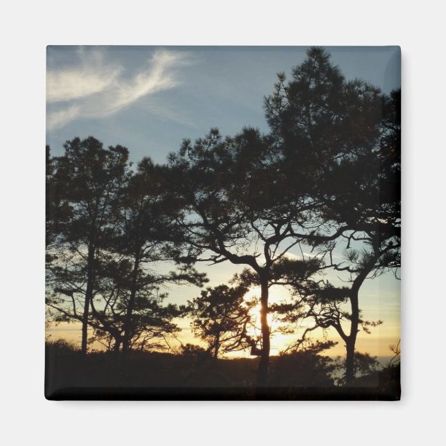 Torrey Pine Sunset II California Landscape Magnet (Front)