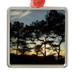 Torrey Pine Sunset II California Landscape Metal Ornament