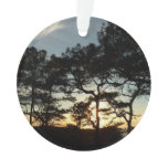 Torrey Pine Sunset II California Landscape Ornament
