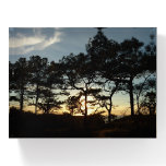 Torrey Pine Sunset II California Landscape Paperweight