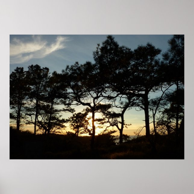 Torrey Pine Sunset II California Landscape Poster (Front)