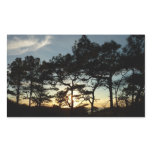 Torrey Pine Sunset II California Landscape Rectangular Sticker
