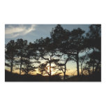 Torrey Pine Sunset II California Landscape Rectangular Sticker