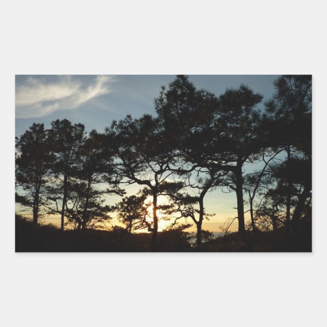 Torrey Pine Sunset II California Landscape Rectangular Sticker (Front)
