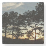 Torrey Pine Sunset II California Landscape Stone Coaster