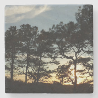 Torrey Pine Sunset II California Landscape Stone Coaster