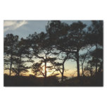 Torrey Pine Sunset II California Landscape Tissue Paper