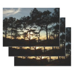 Torrey Pine Sunset II California Landscape Wrapping Paper Sheets