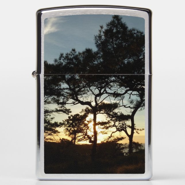 Torrey Pine Sunset II California Landscape Zippo Lighter (Front)