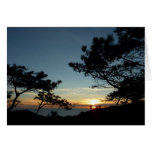 Torrey Pine Sunset III California Landscape