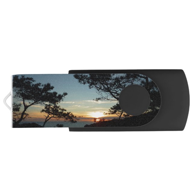 Torrey Pine Sunset III California Landscape Flash Drive (Back)