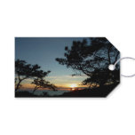 Torrey Pine Sunset III California Landscape Gift Tags