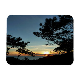 Torrey Pine Sunset III California Landscape Magnet