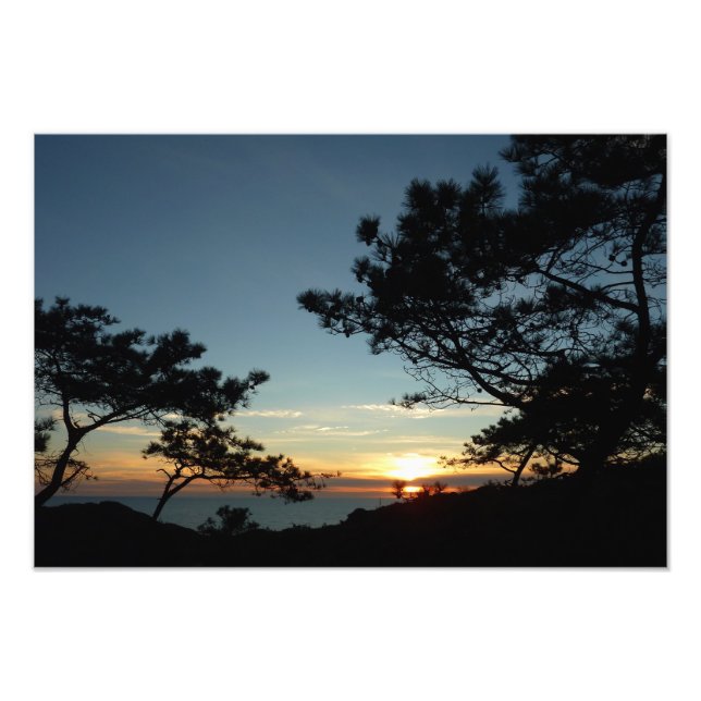 Torrey Pine Sunset III California Landscape Photo Print (Front)