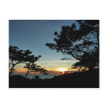 Torrey Pine Sunset III California Landscape Postcard