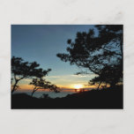 Torrey Pine Sunset III California Landscape Postcard
