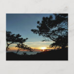 Torrey Pine Sunset III California Landscape Postcard