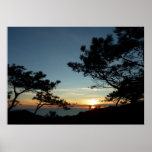 Torrey Pine Sunset III California Landscape Poster
