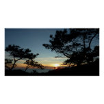Torrey Pine Sunset III California Landscape Poster
