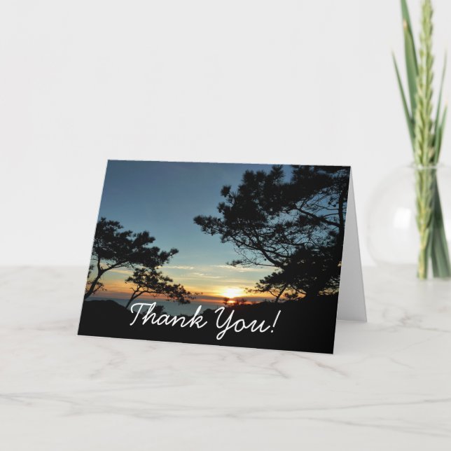 Torrey Pine Sunset III California Landscape Thank You Card (Front)