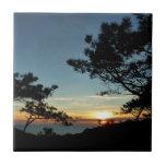 Torrey Pine Sunset III California Landscape Tile