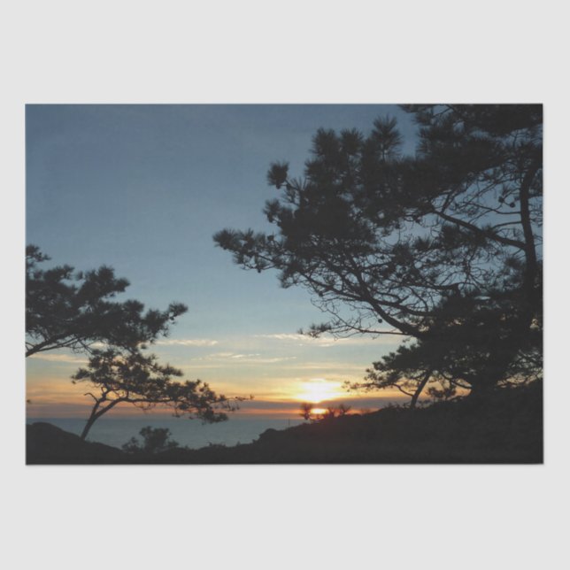 Torrey Pine Sunset III California Landscape Tissue Paper (Front)